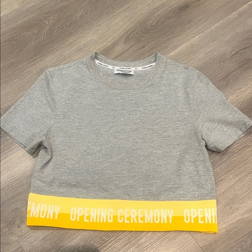 Opening Ceremony Crop Top - Picture 3 of 11